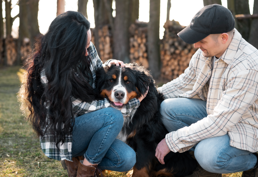 How to Choose a Dog Walker You Can Trust: 12 Questions to Ask