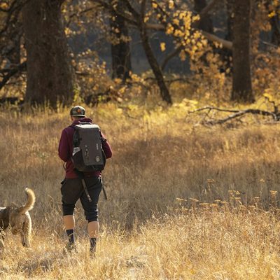 Diego M., dog walker in Austin, TX