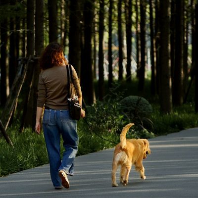 Jasmine W., dog walker in Dallas, TX
