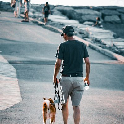 Tyler B., dog walker in Dallas, TX