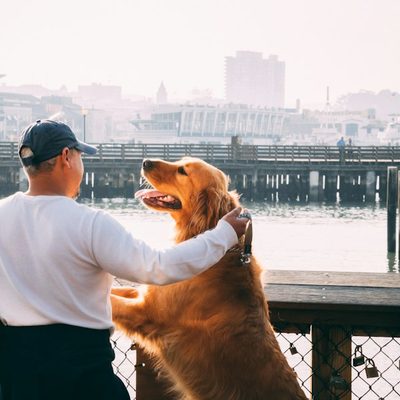 Carlos H., dog walker in Houston, TX