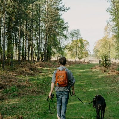 Jordan L., dog walker in Houston, TX