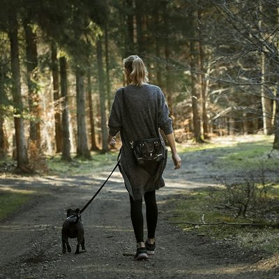 Isabella G., dog walker in Houston, TX