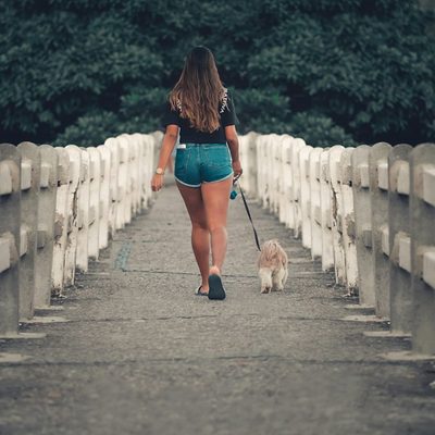 Rachel C., dog walker in Brooklyn, NY