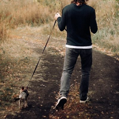 Kevin O., dog walker in Brooklyn, NY