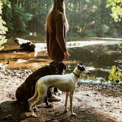Lauren S., dog walker in Los Angeles, CA