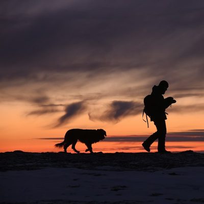 Noah M., dog walker in Los Angeles, CA