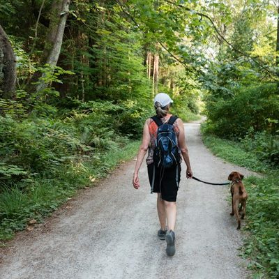 Sara L., dog walker in Seattle, WA