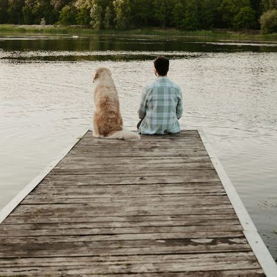Owen F., dog walker in Seattle, WA