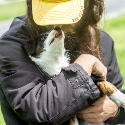 Sean M., dog walker in Boston, MA