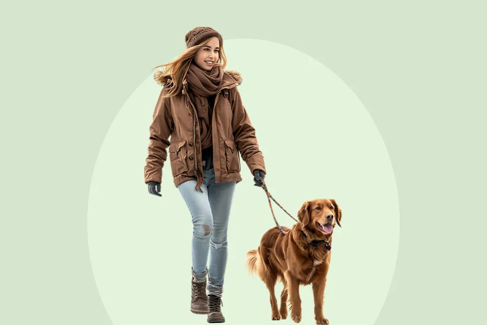 Dog Walking